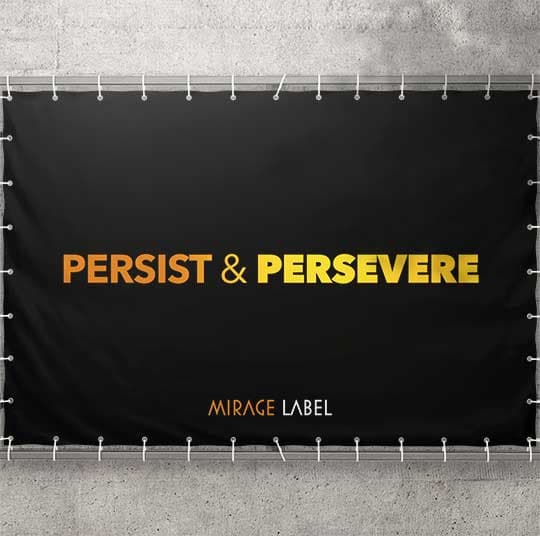 Persist & Persevere